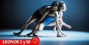 Banner abono Batsheva