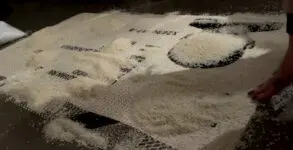 El arroz como casa