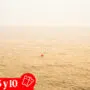 Banner abono Fumero