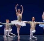 het natianale ballet theme and variations
