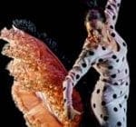 ballet flamenco de andalucía
