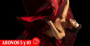 Banner abono San Martin