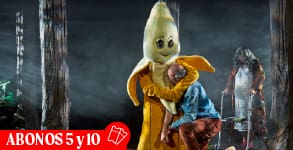 Banner abono Chiens Navarre